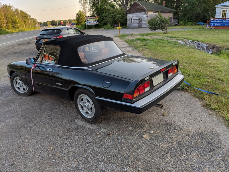 Illustration for article titled 1989 Alfa Romeo Spider Veloce SpottingĀ